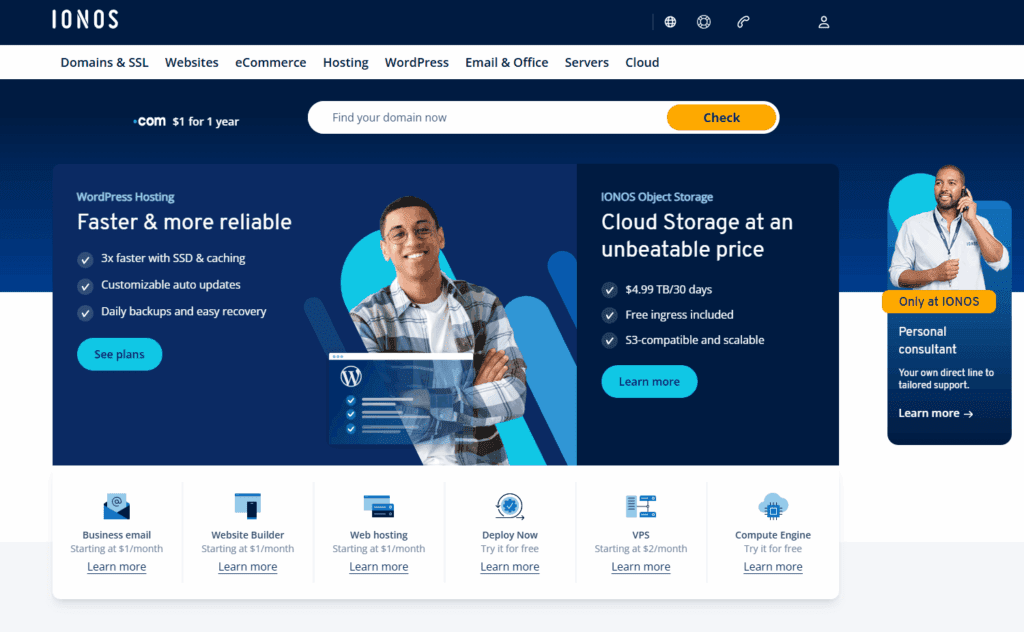 Understanding IONOS Hosting and WordPress-WordPress-What is IONOS?-backup