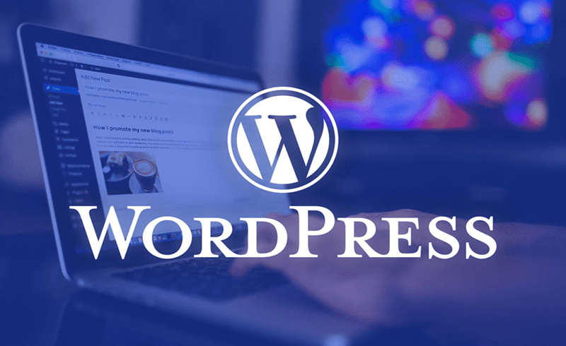 Why Choose WordPress for Your B2B Website?-Flexibility and Customization-Scalability-SEO-Friendly