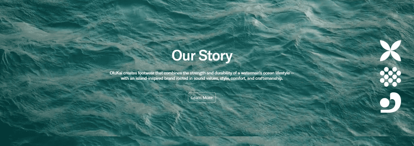 Email Capture & Storytelling Close-Builds brand narrative-Encourages conversions with clean CTA buttons