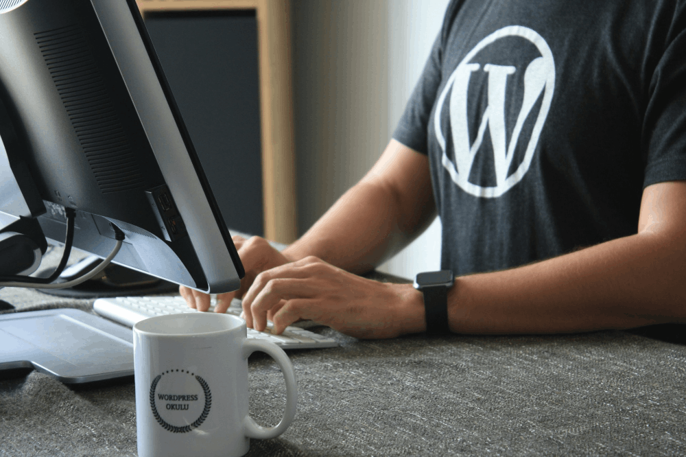 Why You Need a WordPress Consultant for Your Business Success