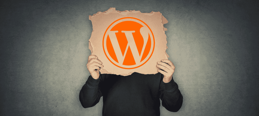 Unlocking Business Potential with WordPress Maatwerk (Custom Solutions)