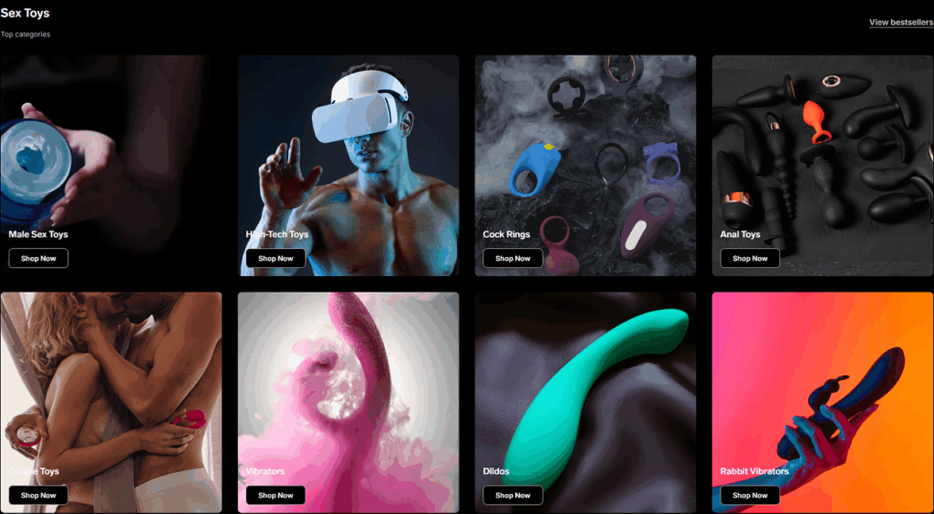 Detailed Breakdown of Homepage Sections-Product Category Display