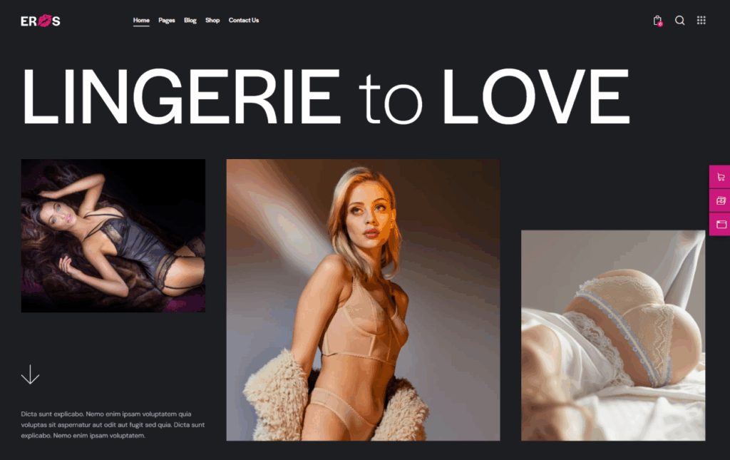 Why Choose WordPress for Adult Websites?-Real-Life Examples of Websites Using Adult WordPress Themes-Lingerie Creative