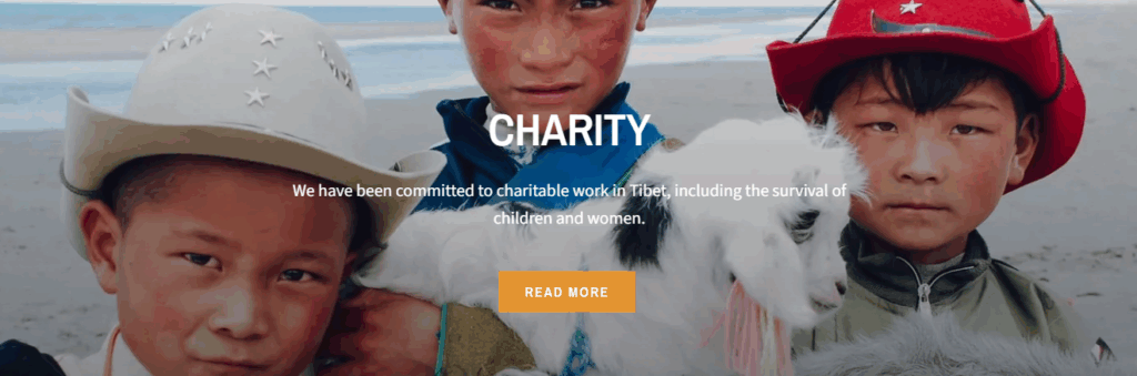 Integrating Brand Values into Page Design-From Product to Purpose-Charity