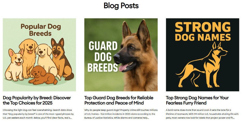 Blog & Journal Section - Soft Funnel Entry