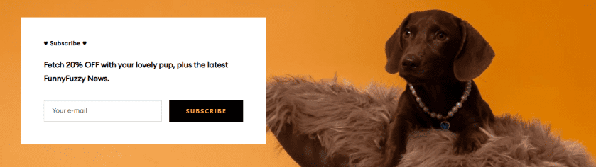 Footer CTA - Subscription Incentive