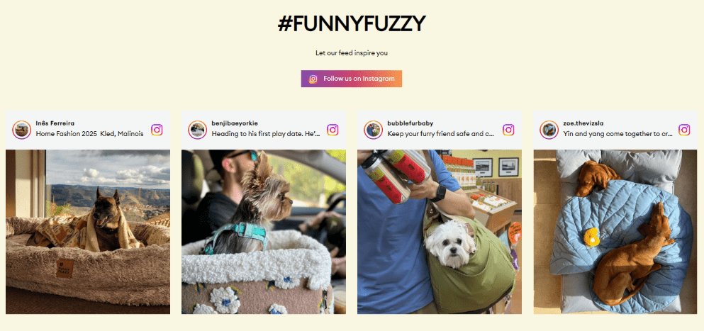 Social Proof Wall - Featured & Hashtag Content