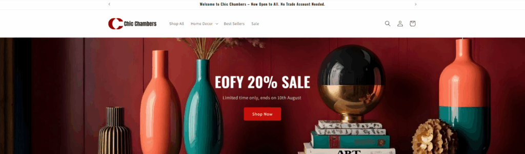 Our Approach to Building the Website-Structuring the Shopify Store