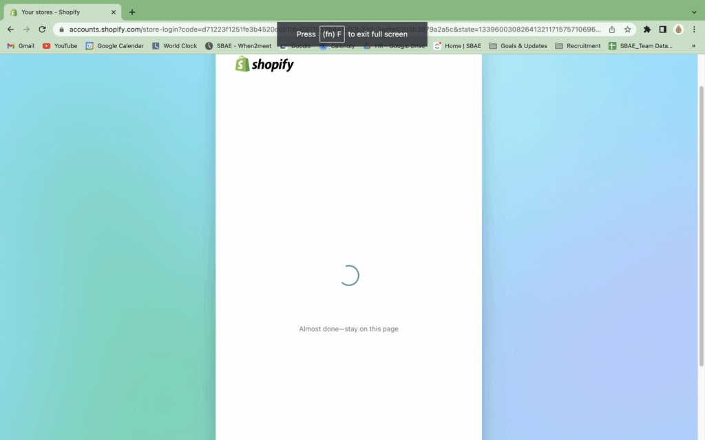 Understanding the Shopify Blank Store Page Issue