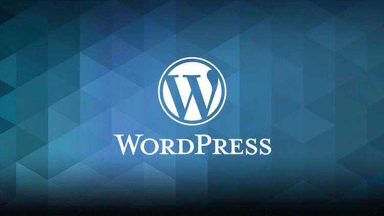 Understanding GoDaddy and WordPress-What is WordPress?