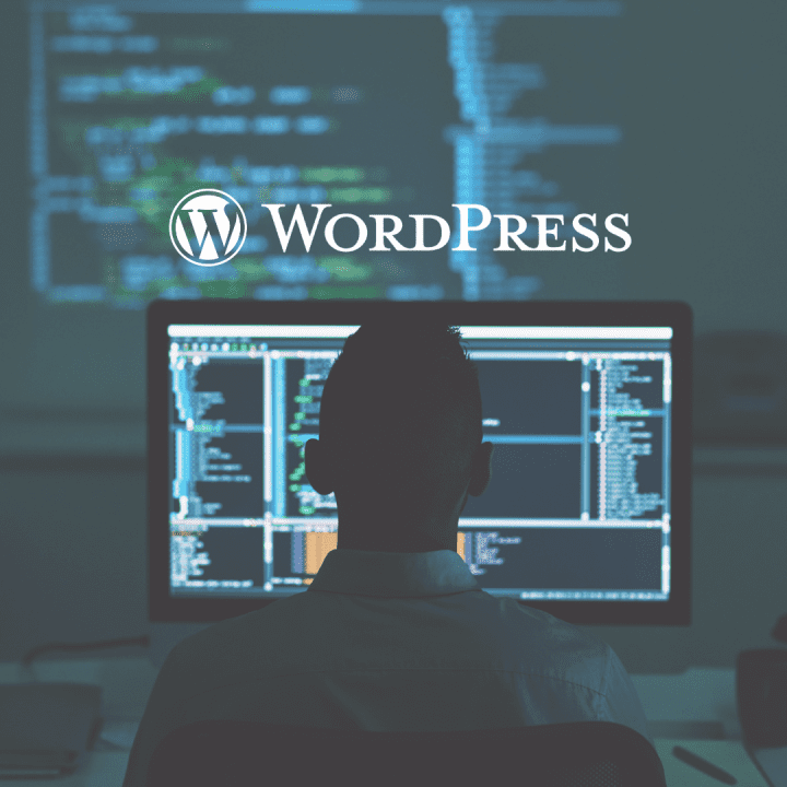 When to Choose WordPress Maatwerk-You Need More Than a Template-You Require Advanced Features