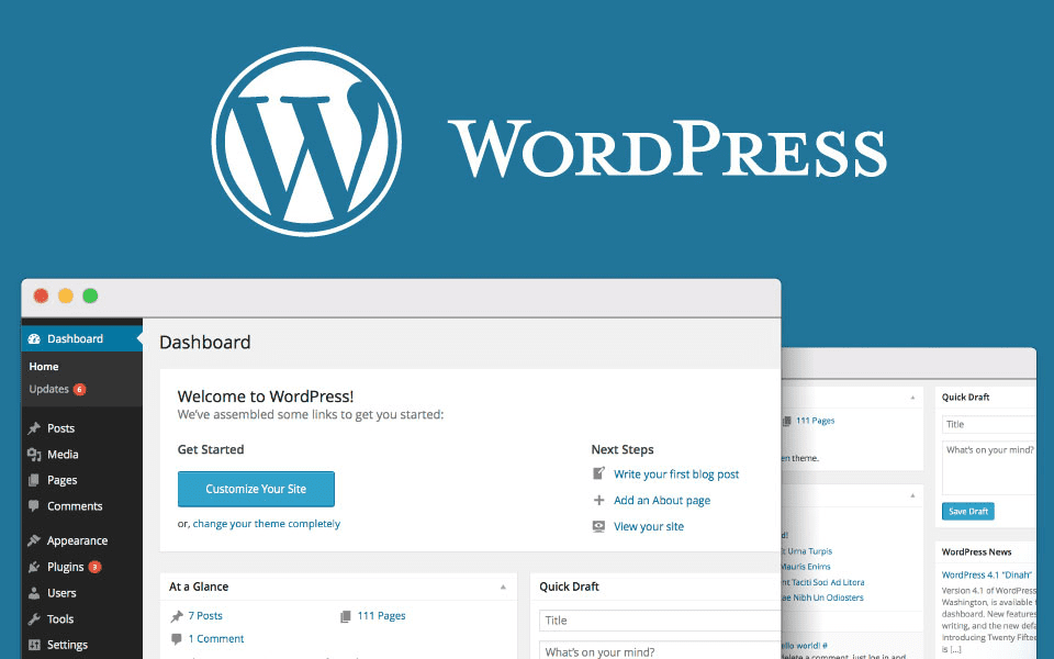 How to Add Global Custom Fields in WordPress