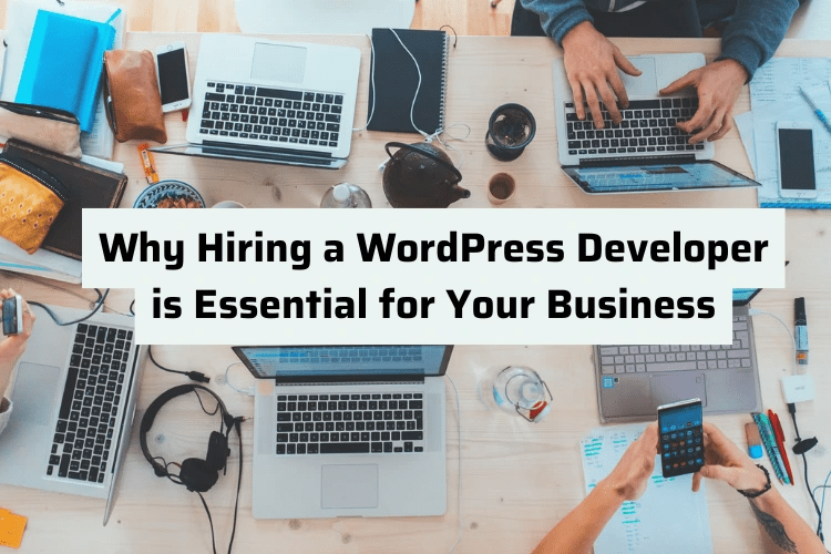 Why Businesses Need a WordPress Consultant