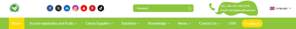 Building the Website-Page Structure and Layout