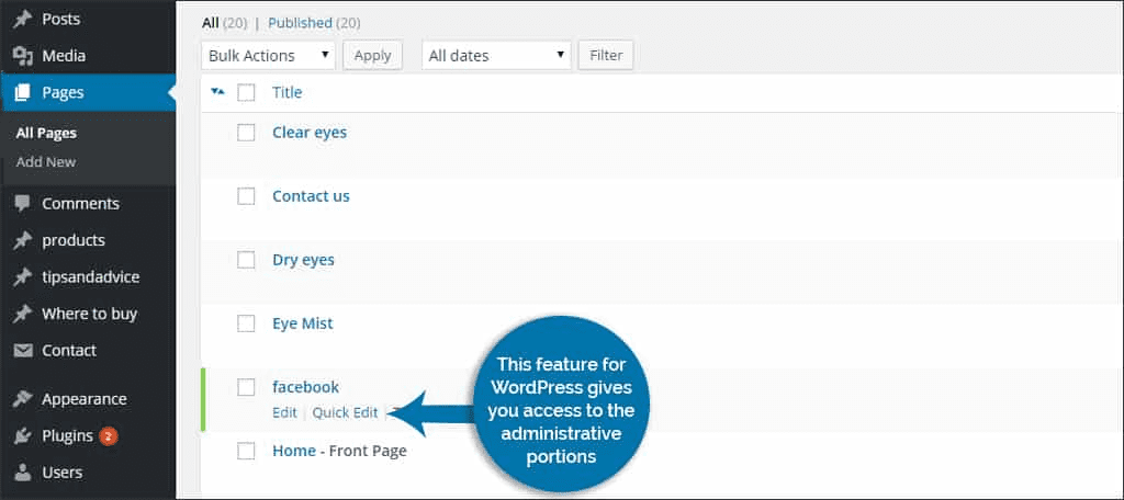 How to Edit Page Order in WordPress-Editing Menus