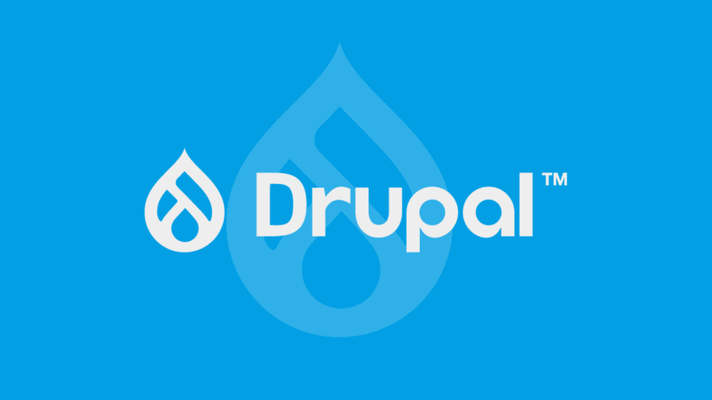 WordPress vs Drupal: Key Differences You Must Know-Understanding the Core Differences-What is WordPress?
