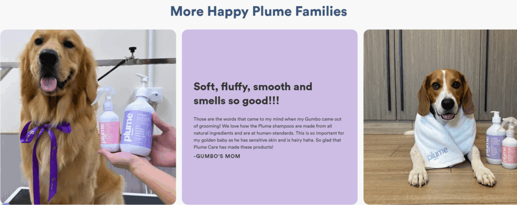 Key Features That Elevated the Build-Testimonials & Social Proof-How We Built Plume Care’s Shopify Website