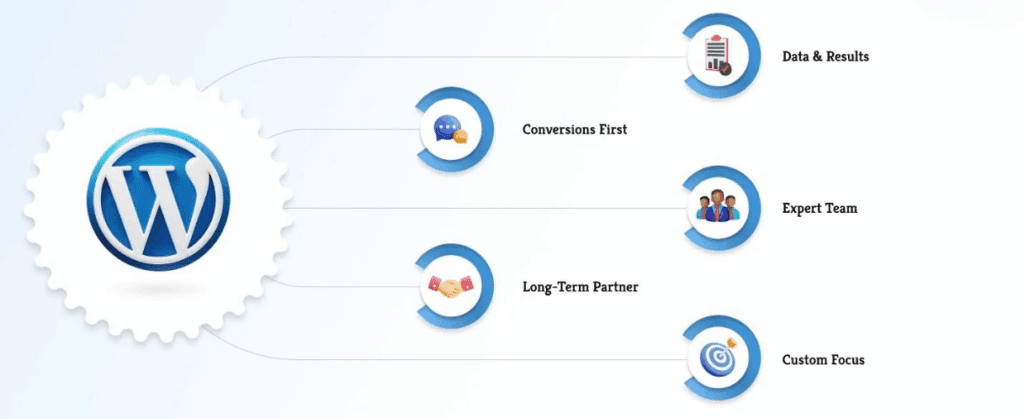 Our Advantage in WordPress Web Design