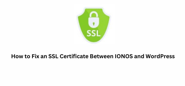 How to Fix an SSL Certificate Between IONOS and WordPress
