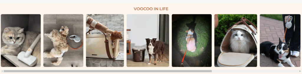Voocoo Shopify Website Build for Pet Lovers-Our Approach to Shopify Website Construction-Designing the Customer Journey-Lifestyle Integration