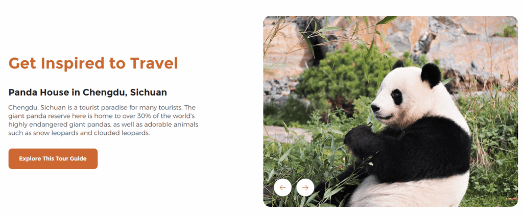 Ueeshop Website Build for Travel eCommerce Success-Website Construction Process-Blog Integration