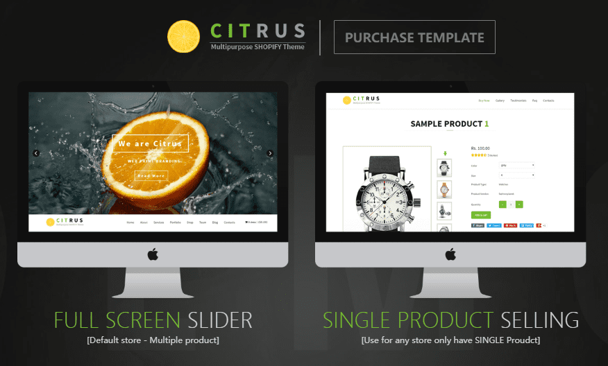 Citrus Shopify Theme-Best Shopify Entertainment Themes Compared