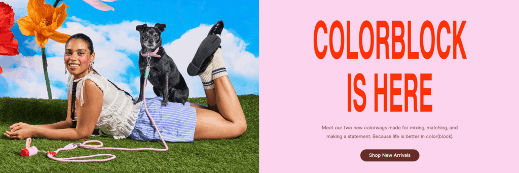 How we built and designed Wild One’s Shopify pet website-Integrating Design into the Build-Hero Imagery That Sets the Tone