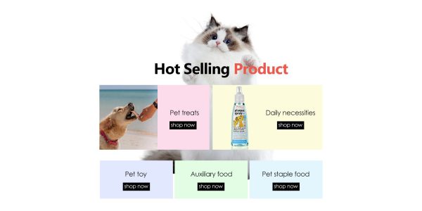 🐾 [Pet Brand Website Launch｜Homepage for Premium Dog Food & More Is Live!] (1)